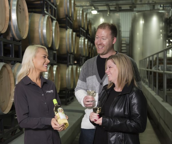 Niagara Winery Cellar Floor Tasting Experience